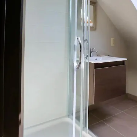 Loft En Duplex Avec Terrasse 3 Proche Pairi Daiza Mons