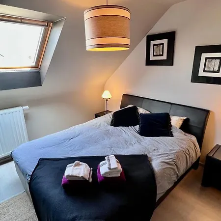 Loft En Duplex Avec Terrasse 3 Proche Pairi Daiza