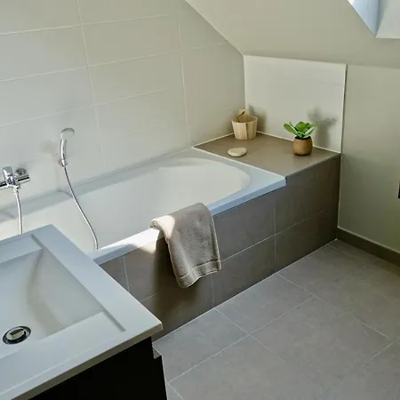 Apartment Loft En Duplex Avec Terrasse 3 Proche Pairi Daiza