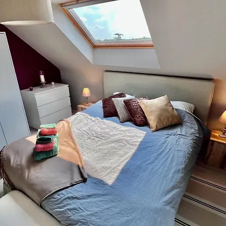 Apartment Loft En Duplex Avec Terrasse 3 Proche Pairi Daiza Mons