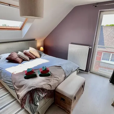 Loft En Duplex Avec Terrasse 3 Proche Pairi Daiza Mons