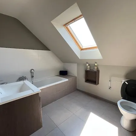 Loft En Duplex Avec Terrasse 3 Proche Pairi Daiza Appartamento Mons