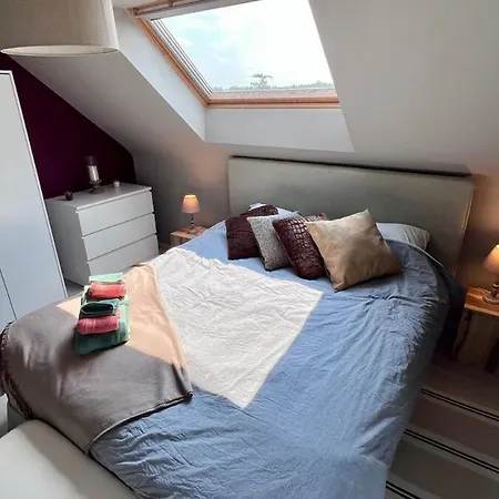 Appartamento Loft En Duplex Avec Terrasse 3 Proche Pairi Daiza *