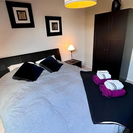 Loft En Duplex Avec Terrasse 3 Proche Pairi Daiza Lejlighed Mons