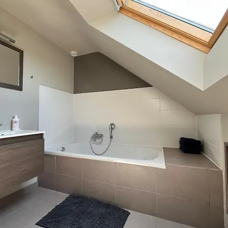 Loft En Duplex Avec Terrasse 3 Proche Pairi Daiza Lejlighed