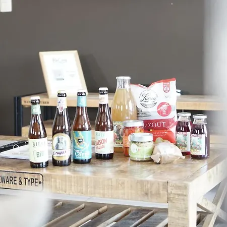 Loft En Duplex Avec Terrasse 3 Proche Pairi Daiza * Mons