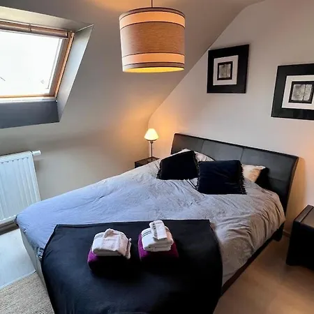 Loft En Duplex Avec Terrasse 3 Proche Pairi Daiza アパート