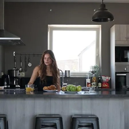 Loft En Duplex Avec Terrasse 3 Proche Pairi Daiza Appartamento Mons